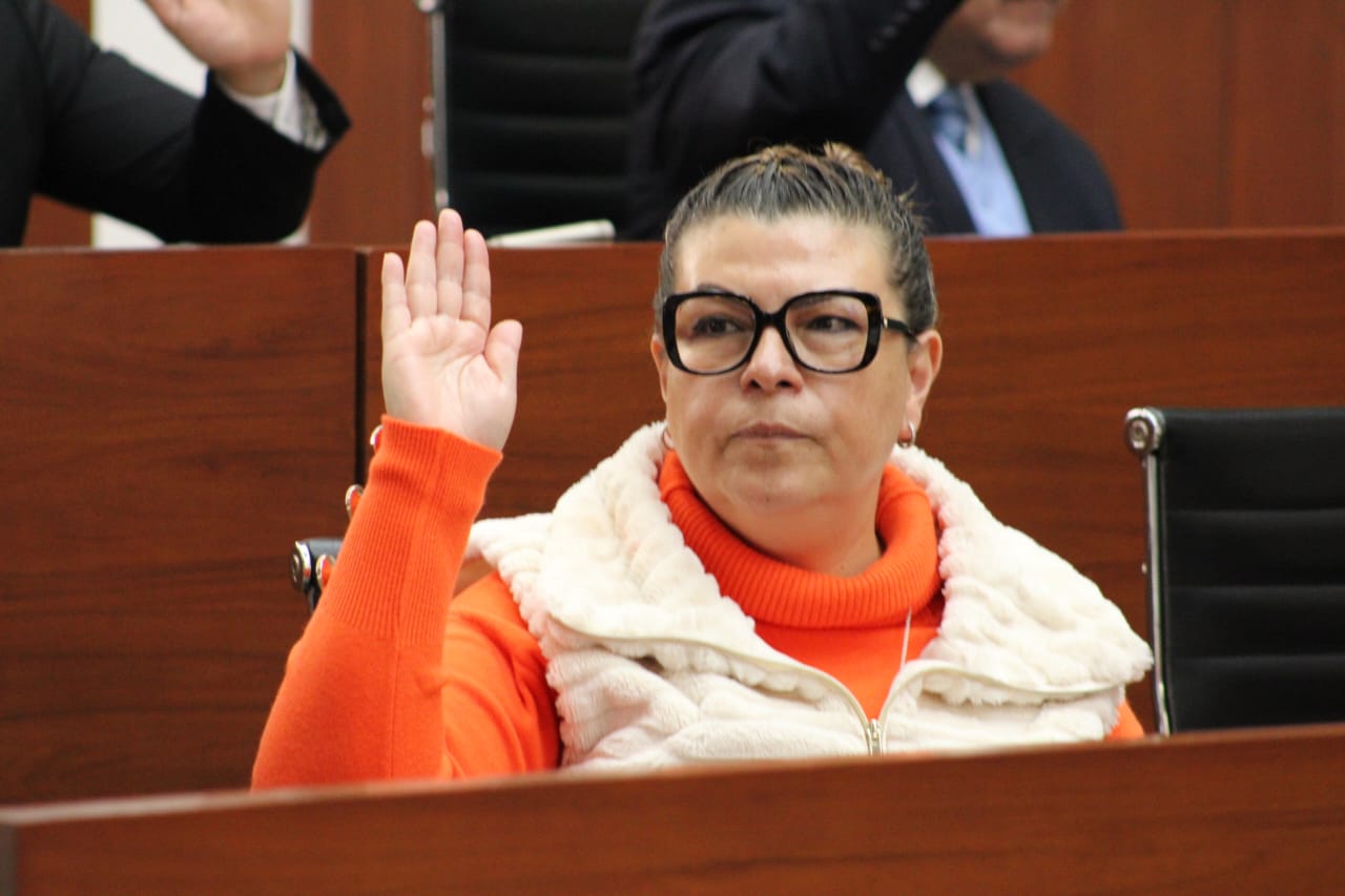 Diputada Sandra Aguilar a favor del uso de transporte ferroviario y en contra de reforma energética