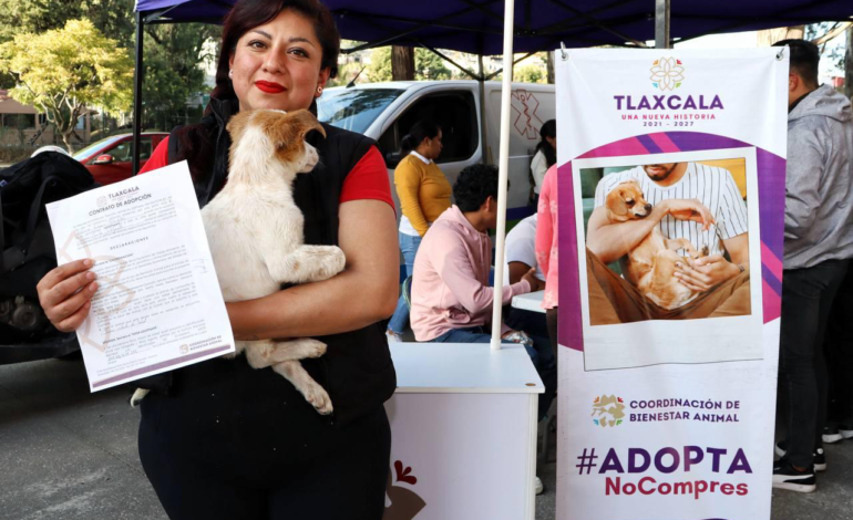 COORDINACIÓN DE BIENESTAR ANIMAL REALIZÓ EL PRIMER “ADOGTAME” 2025