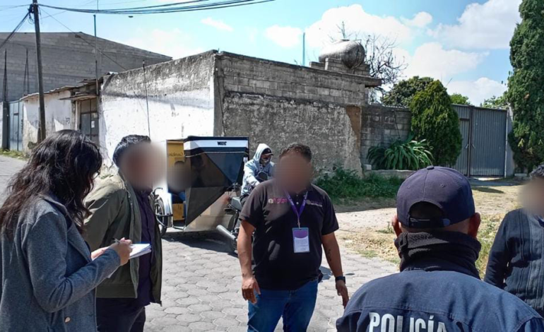 Investigan Envenenamiento de Perros en Nopalucan