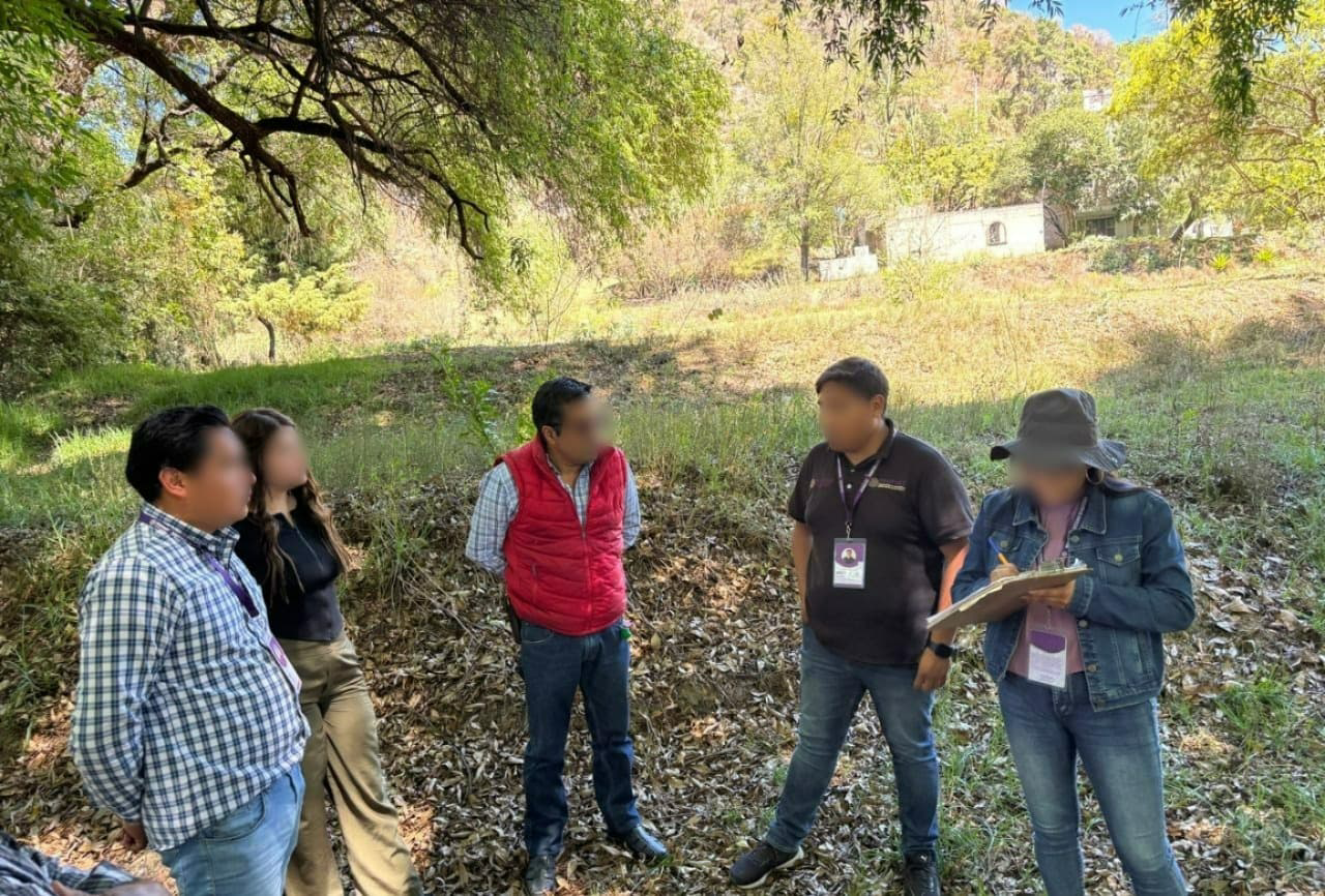 Investigan envenenamiento masivo de perros y gatos en Ixtacuixtla