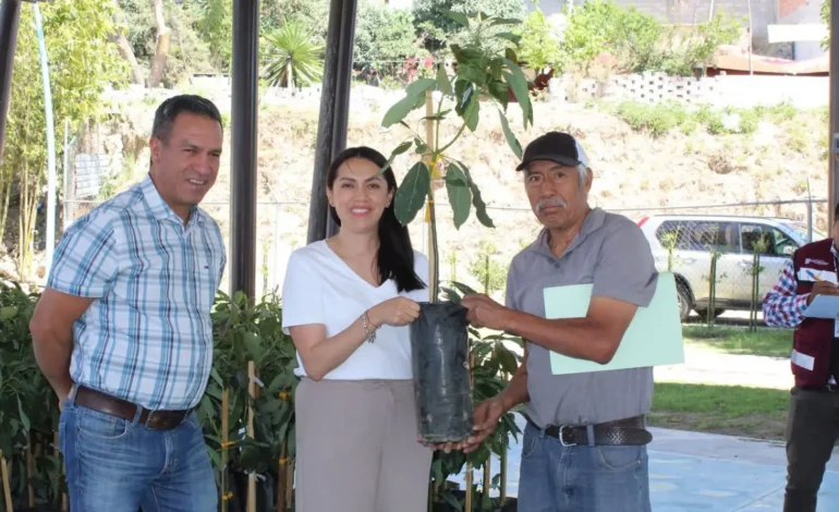 “Zacualpan se viste de verde” entrega de árboles frutales