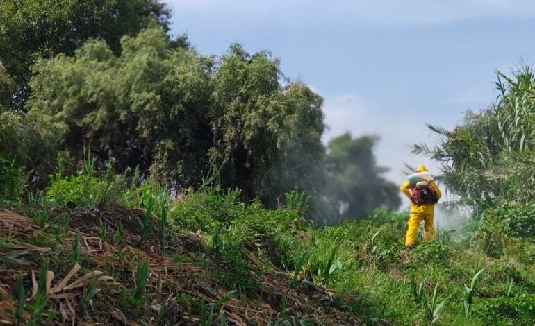 Inicio de acciones contra especies invasoras en Zacualpan