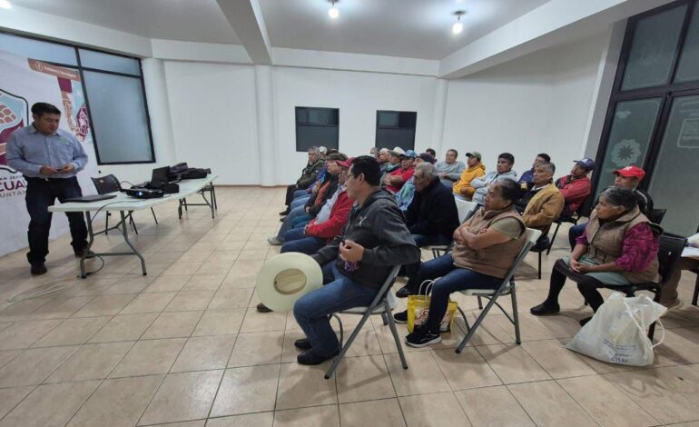 Zacualpan impulsa control biológico contra la plaga de chapulín