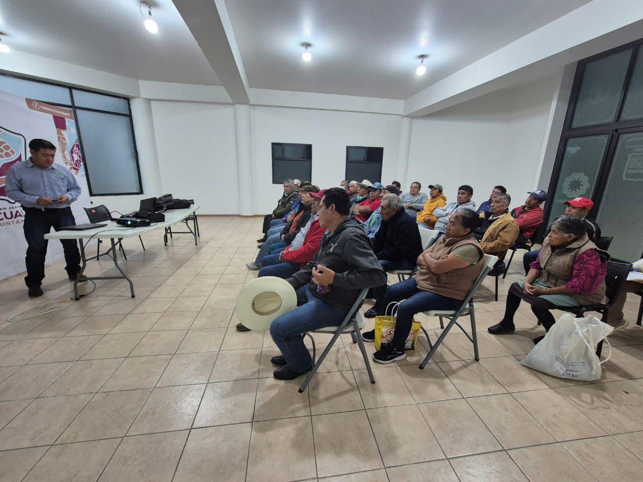 Zacualpan impulsa control biológico contra la plaga de chapulín