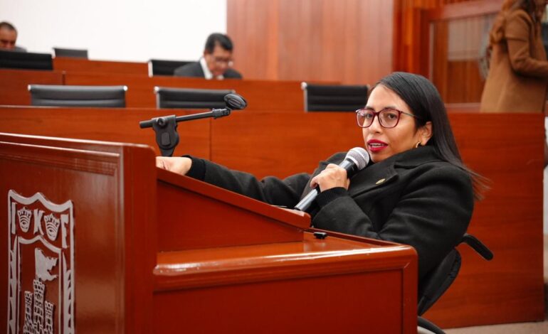 Gabriela Hernández propone consulta obligatoria a grupos vulnerables en el Congreso