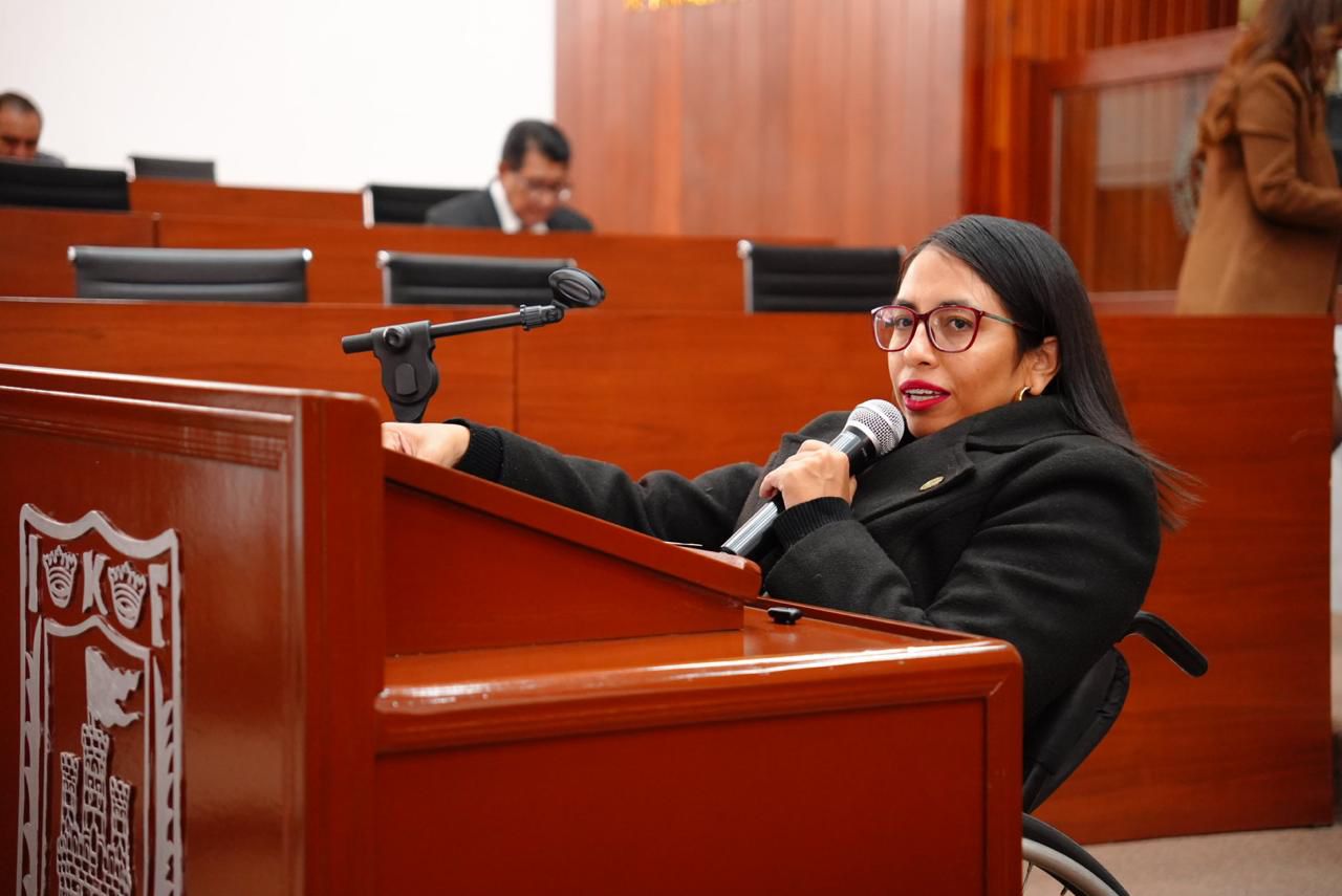 Gabriela Hernández propone consulta obligatoria a grupos vulnerables en el Congreso