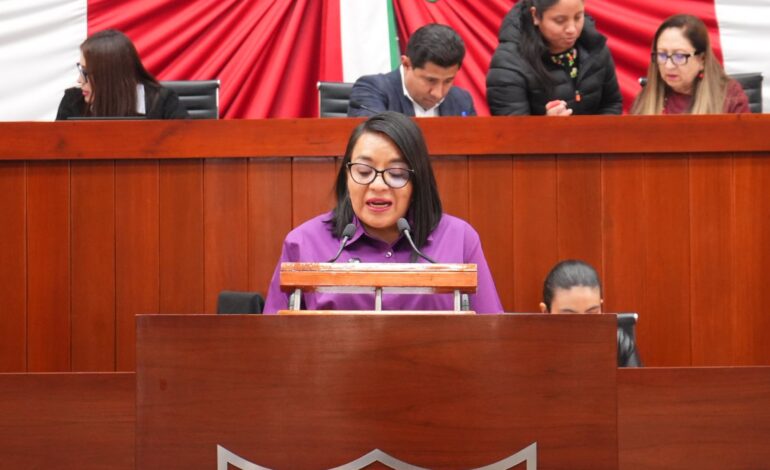 Laura Flores propone sanciones contra funcionarios que ejerzan atribuciones que no les corresponden