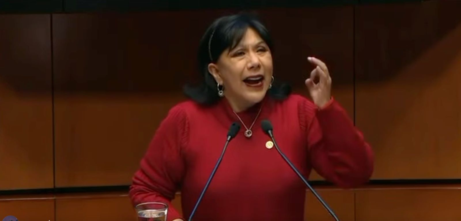 “Es la B de burdo, bastardo y bizarro”: Anabel Ávalos lanza dura crítica contra el “Plan B” en el Senado