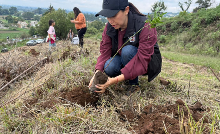 Sandra Corona encabeza reforestación en Zacualpan; plantan 380 árboles en La Cantera