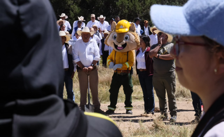 Gobierno de Tlaxcala suma más de 80 mil árboles plantados durante Jornada Nacional de Reforestación