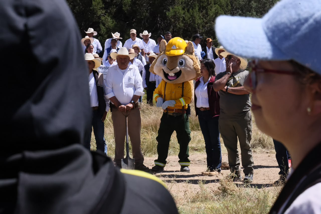 Gobierno de Tlaxcala suma más de 80 mil árboles plantados durante Jornada Nacional de Reforestación