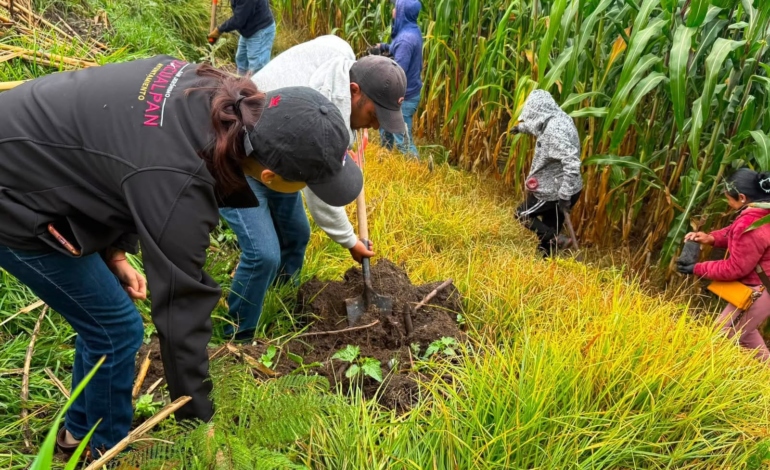 Zacualpan participa en la Jornada Nacional de Reforestación y fortalece acciones ambientales