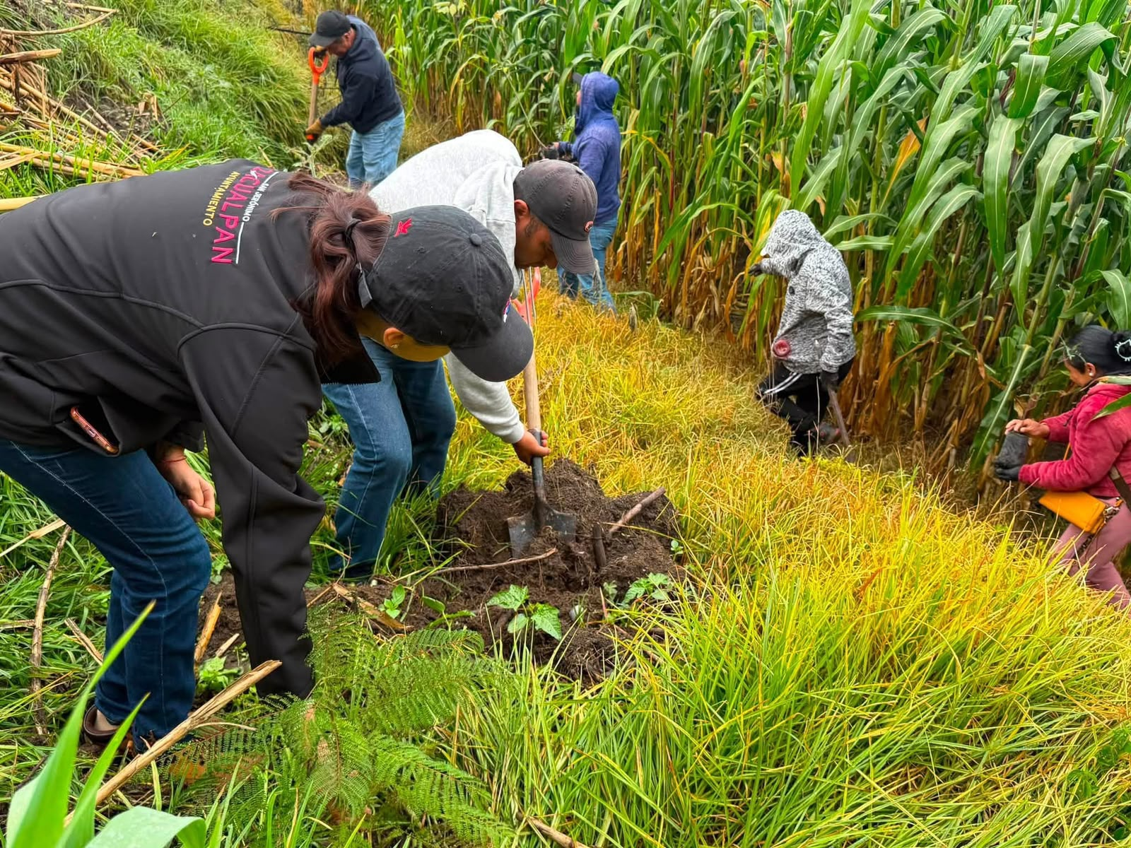 Zacualpan participa en la Jornada Nacional de Reforestación y fortalece acciones ambientales