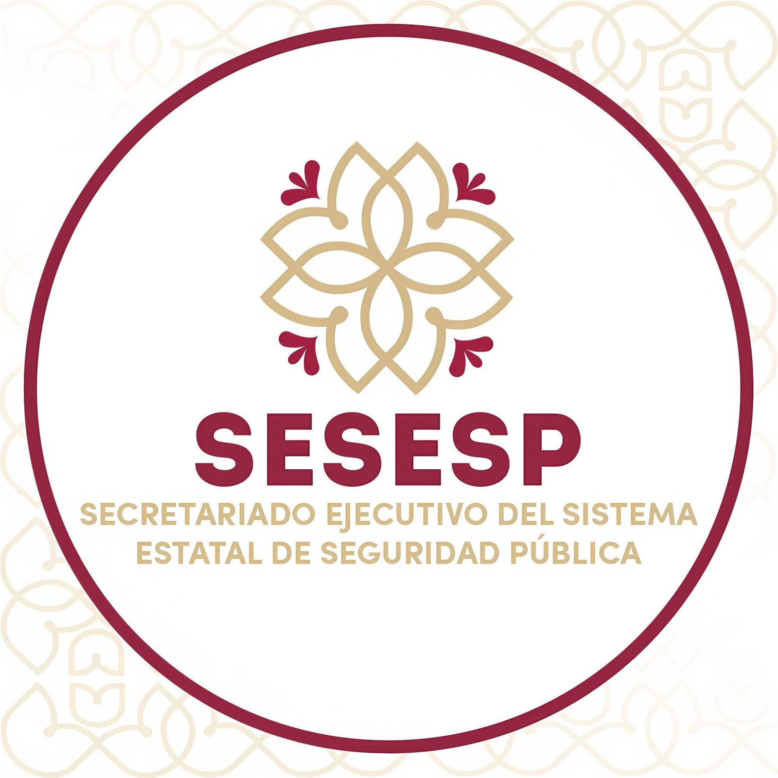 SESESP detecta intento de vandalismo informático en su portal oficial