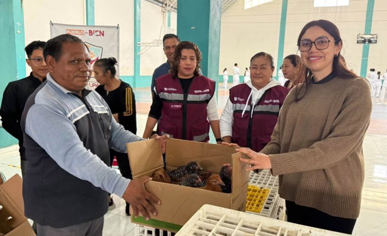 Zacualpan entrega más de 600 aves para apoyar la alimentación y economía de las familias