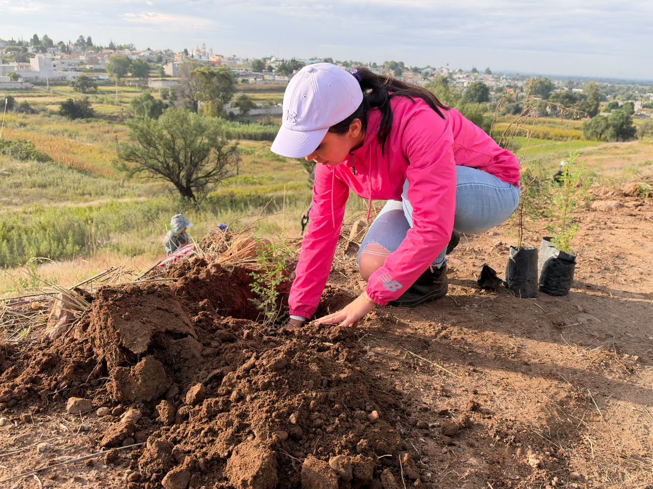 Zacualpan cierra el año con la plantación de 100 árboles en La Cantera